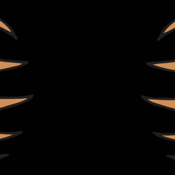 AR BEAR 05 RC Thumbnail