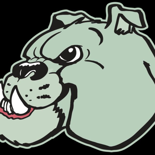 AR BDOG 29 RC Thumbnail