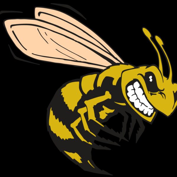 AR BEE 50 RC Thumbnail