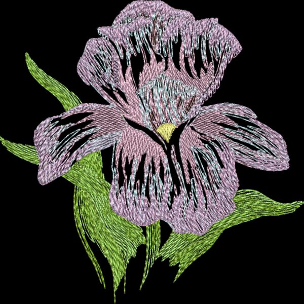 By Rashonda Thumbnail